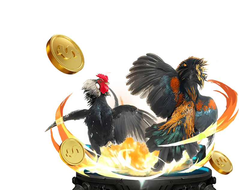 Các bước đăng ký đại lý 96vn